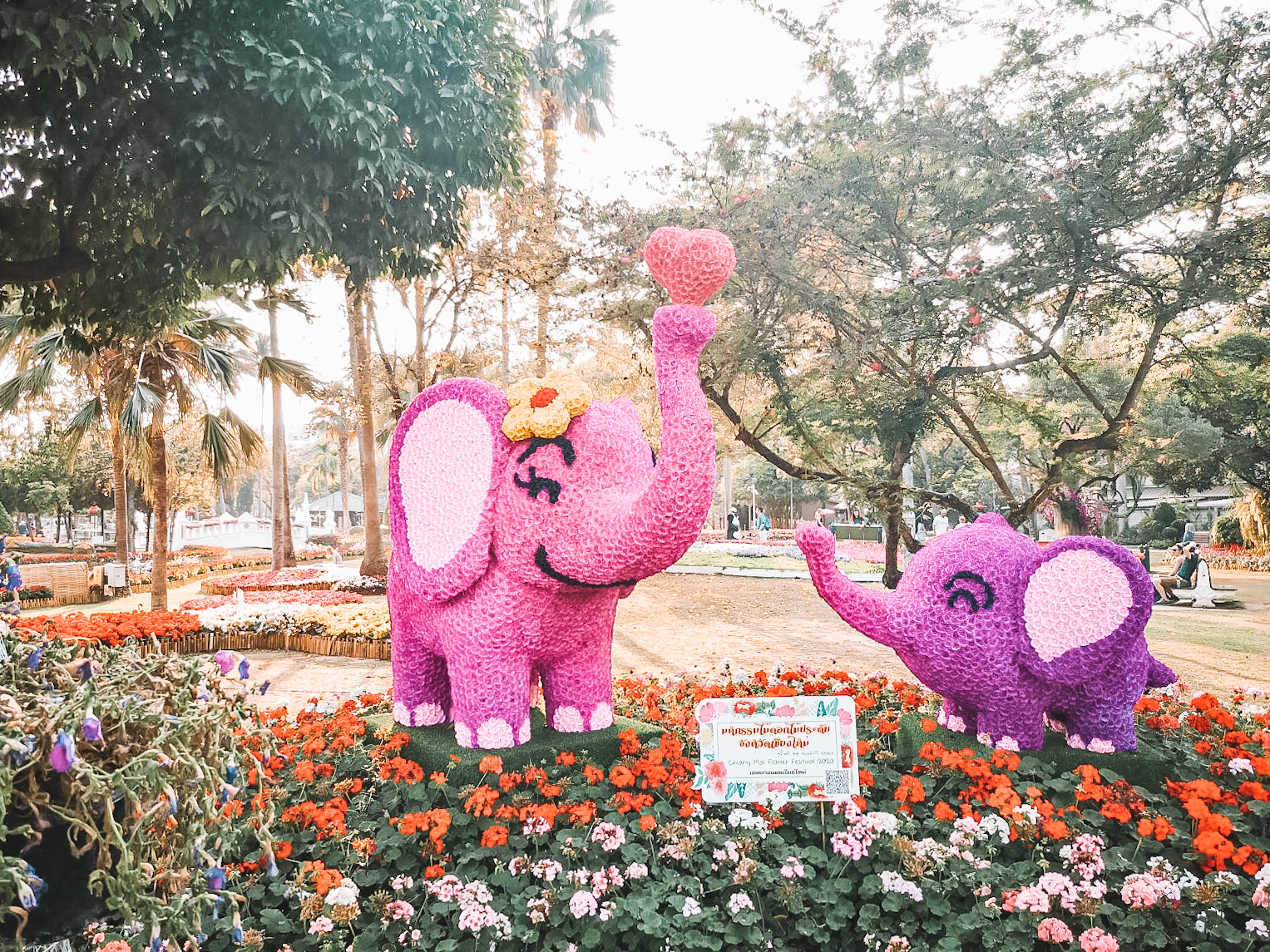 20200219-chiang-mai-thailand-buak-hard-public-park-flower-elephants