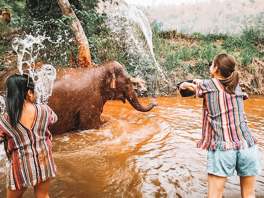 20200220-chiang-mai-thailand-elephant-nature-park-bathing-elephants